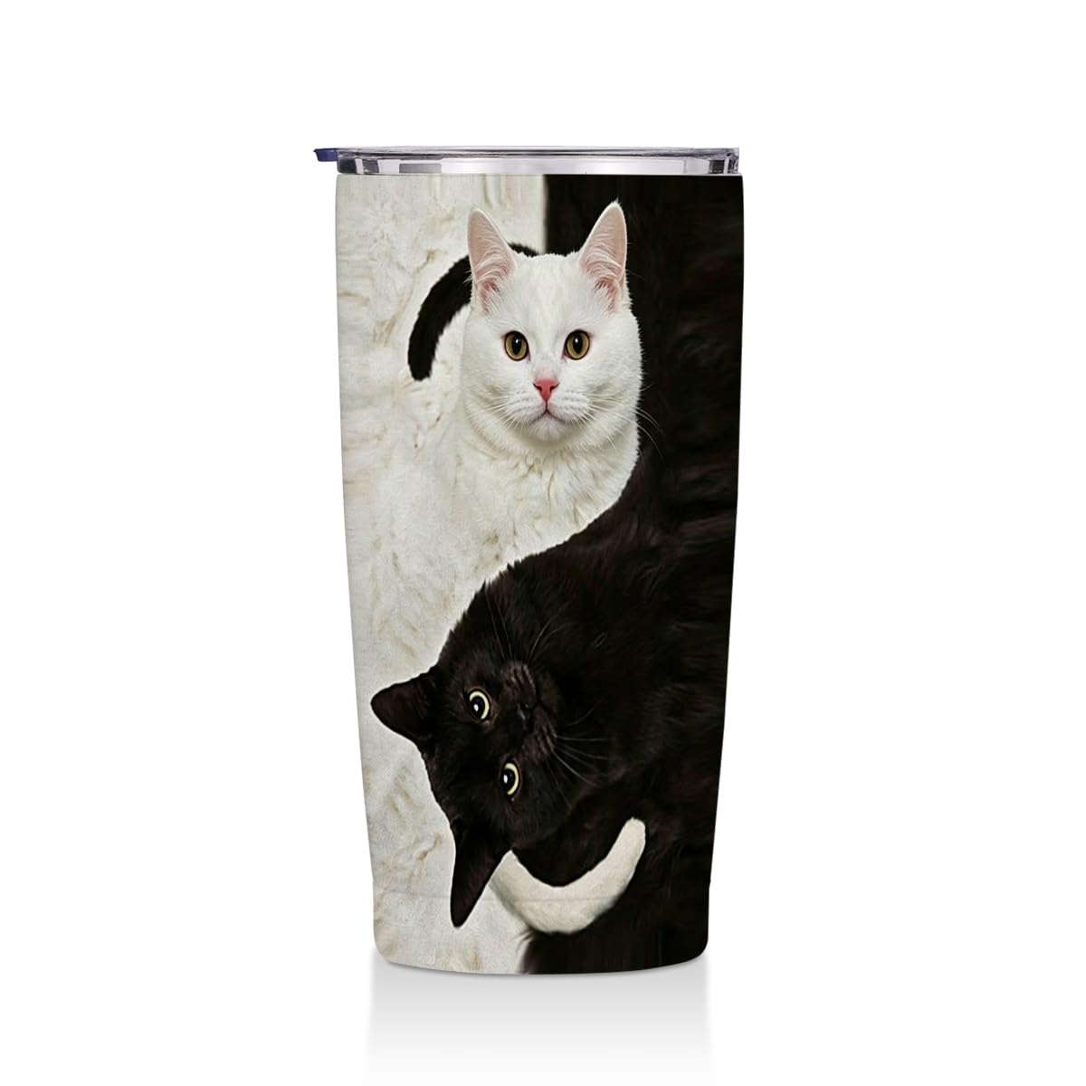 Cute Cat 20 oz Tumbler, Funny Cats Stainless Steel Insulated Water Bottle